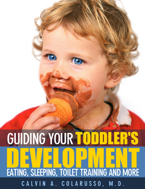 Product picture Guiding Your Toddlers Development